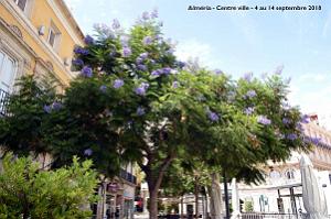 20 ALMERIA CENTRE VILLE (117)